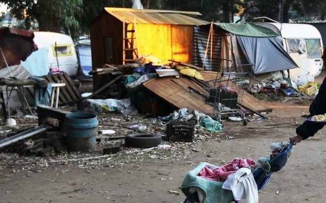 Shelter Shelter