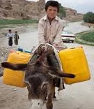 Beaufort West Water Collapse: Lessons in Municipal Failure and Off-Grid Water Survival